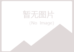 天峨县涟漪建设有限公司